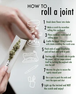 The Ultimate Guide to Choosing the Best Pre-Rolled Joints
